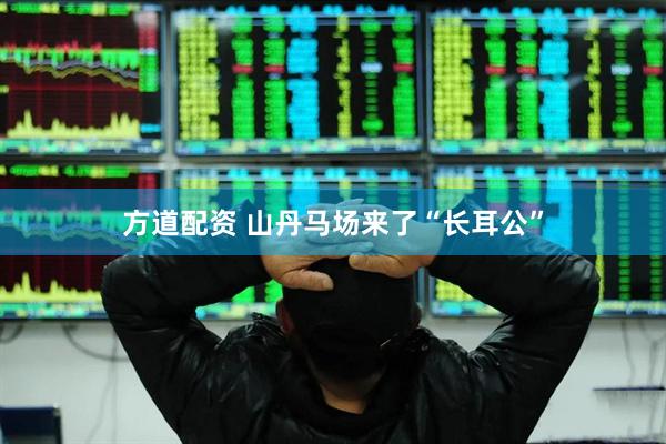 方道配资 山丹马场来了“长耳公”