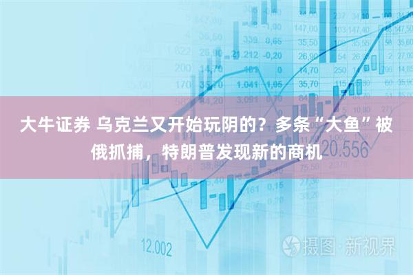 大牛证券 乌克兰又开始玩阴的？多条“大鱼”被俄抓捕，特朗普发现新的商机