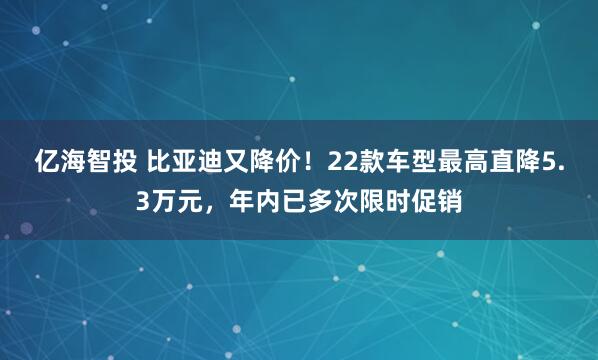 亿海智投 比亚迪又降价！22款车型最高直降5.3万元，年内已多次限时促销