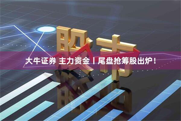 大牛证券 主力资金丨尾盘抢筹股出炉！