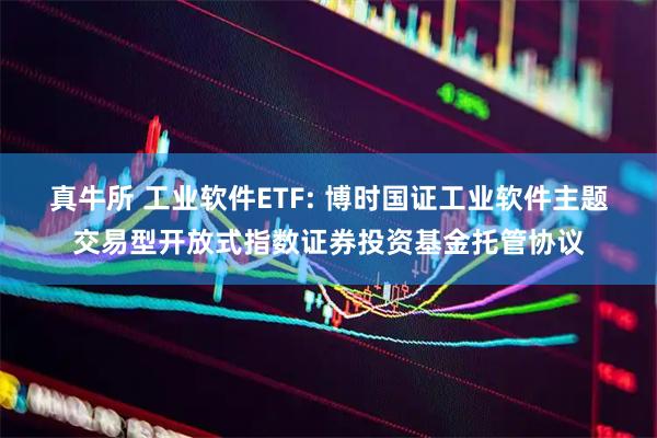 真牛所 工业软件ETF: 博时国证工业软件主题交易型开放式指数证券投资基金托管协议