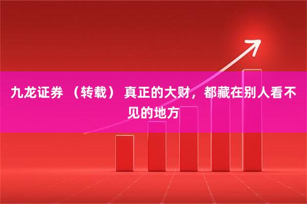 九龙证券 （转载） 真正的大财，都藏在别人看不见的地方