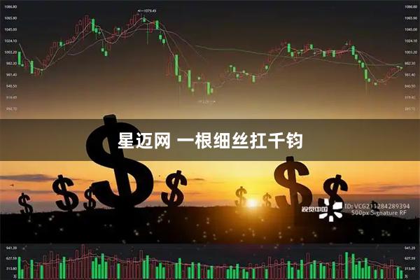 星迈网 一根细丝扛千钧
