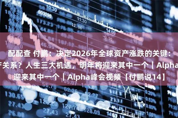 配配查 付鹏：决定2026年全球资产涨跌的关键：AI生产力能否改变生产关系？人生三大机遇，明年将迎来其中一个｜Alpha峰会视频【付鹏说14】