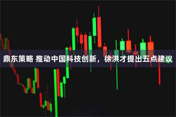鼎东策略 推动中国科技创新，徐洪才提出五点建议
