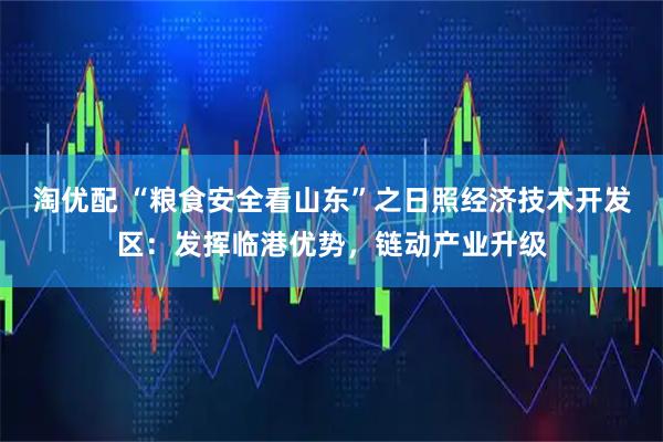 淘优配 “粮食安全看山东”之日照经济技术开发区：发挥临港优势，链动产业升级