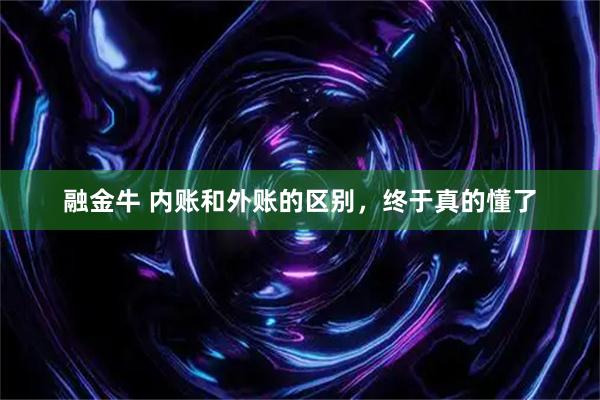 融金牛 内账和外账的区别，终于真的懂了