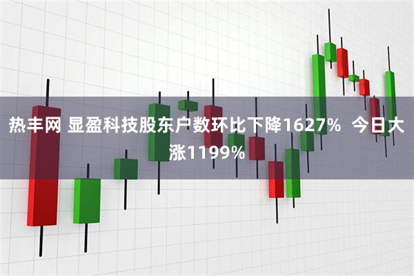 热丰网 显盈科技股东户数环比下降1627%  今日大涨1199%