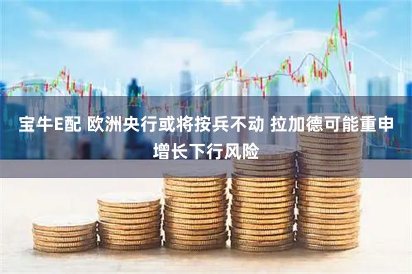 宝牛E配 欧洲央行或将按兵不动 拉加德可能重申增长下行风险